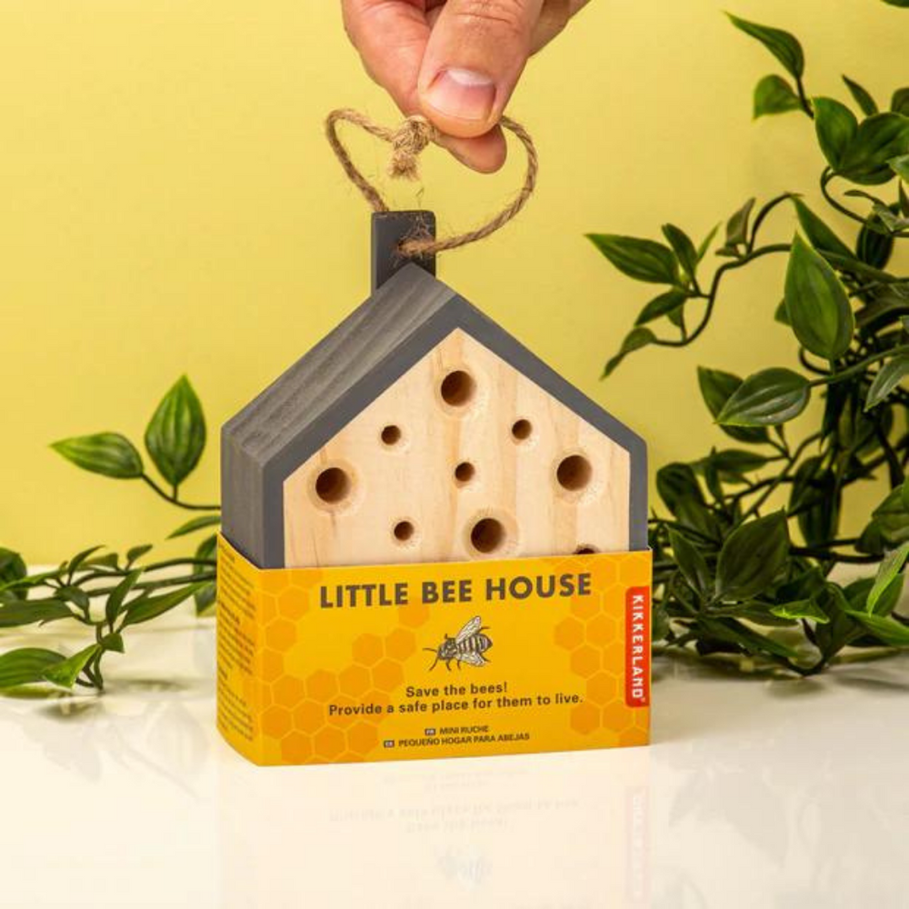 Little Bee House