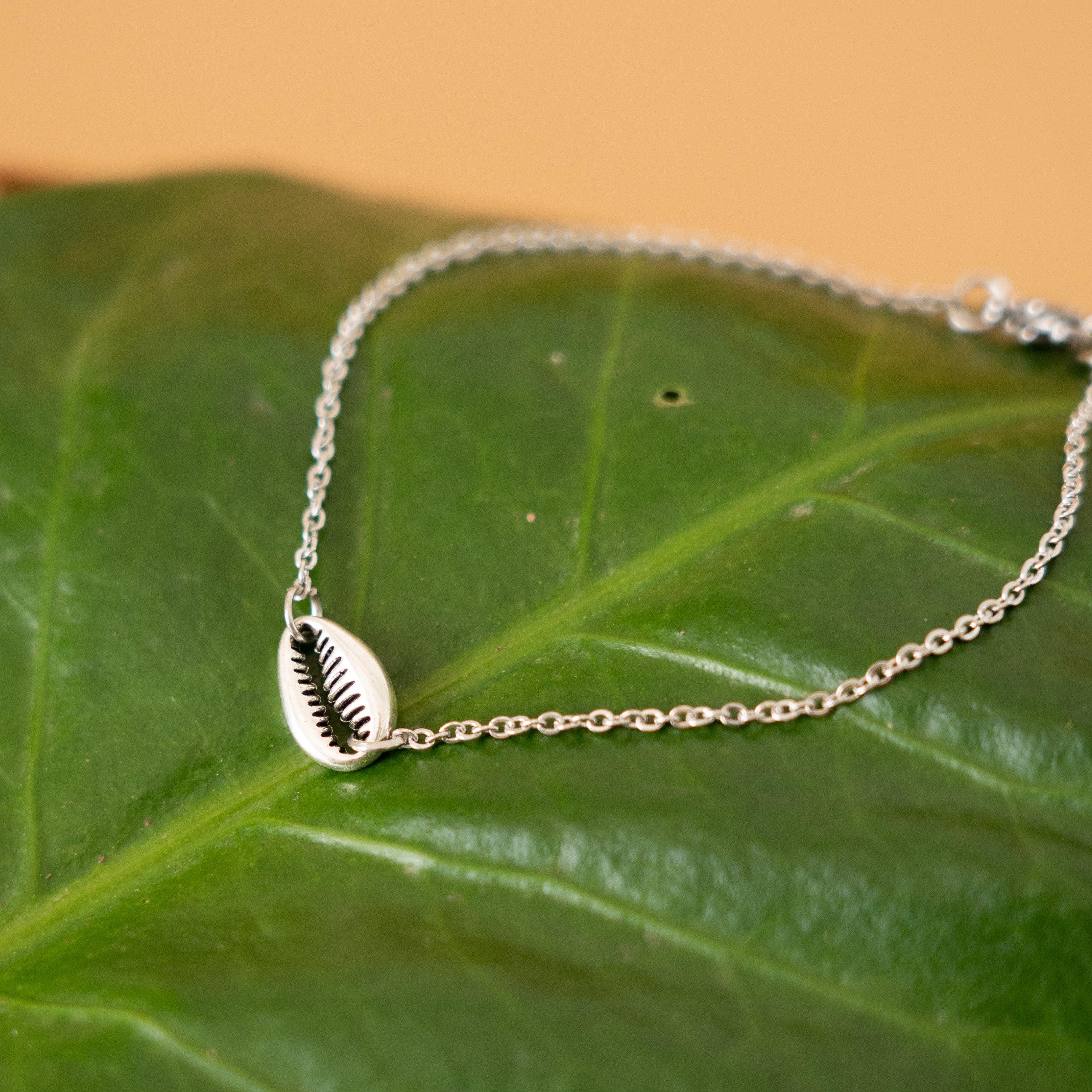 Shell Anklet