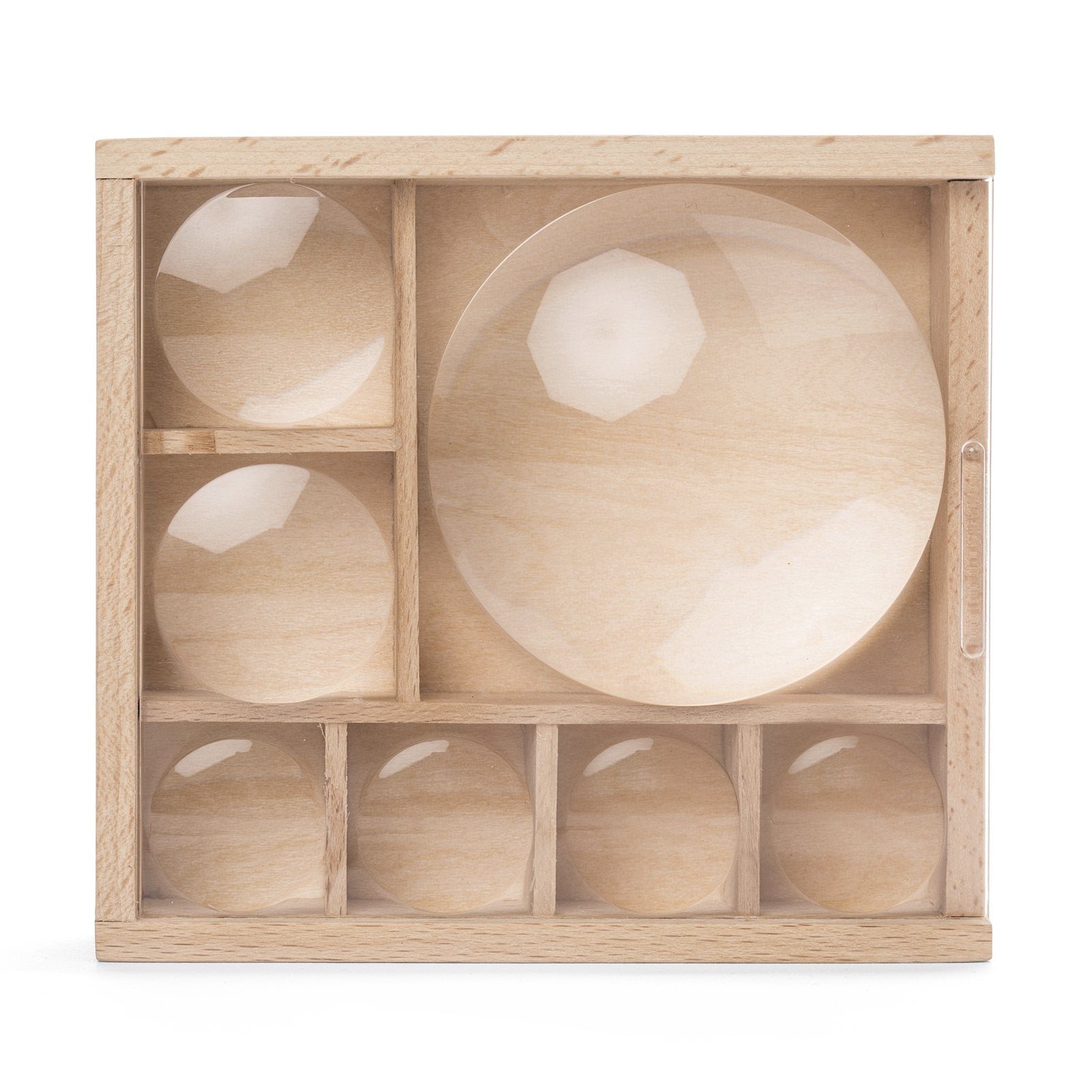 Huckleberry "My Little Museum" Bug Box