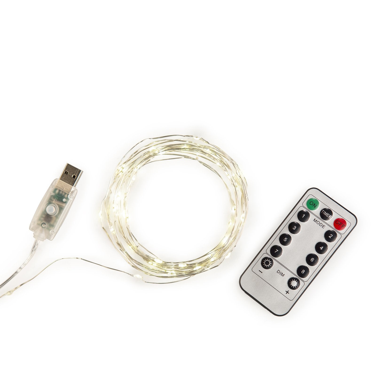 Extra Long Remote-Controlled Silver String Lights