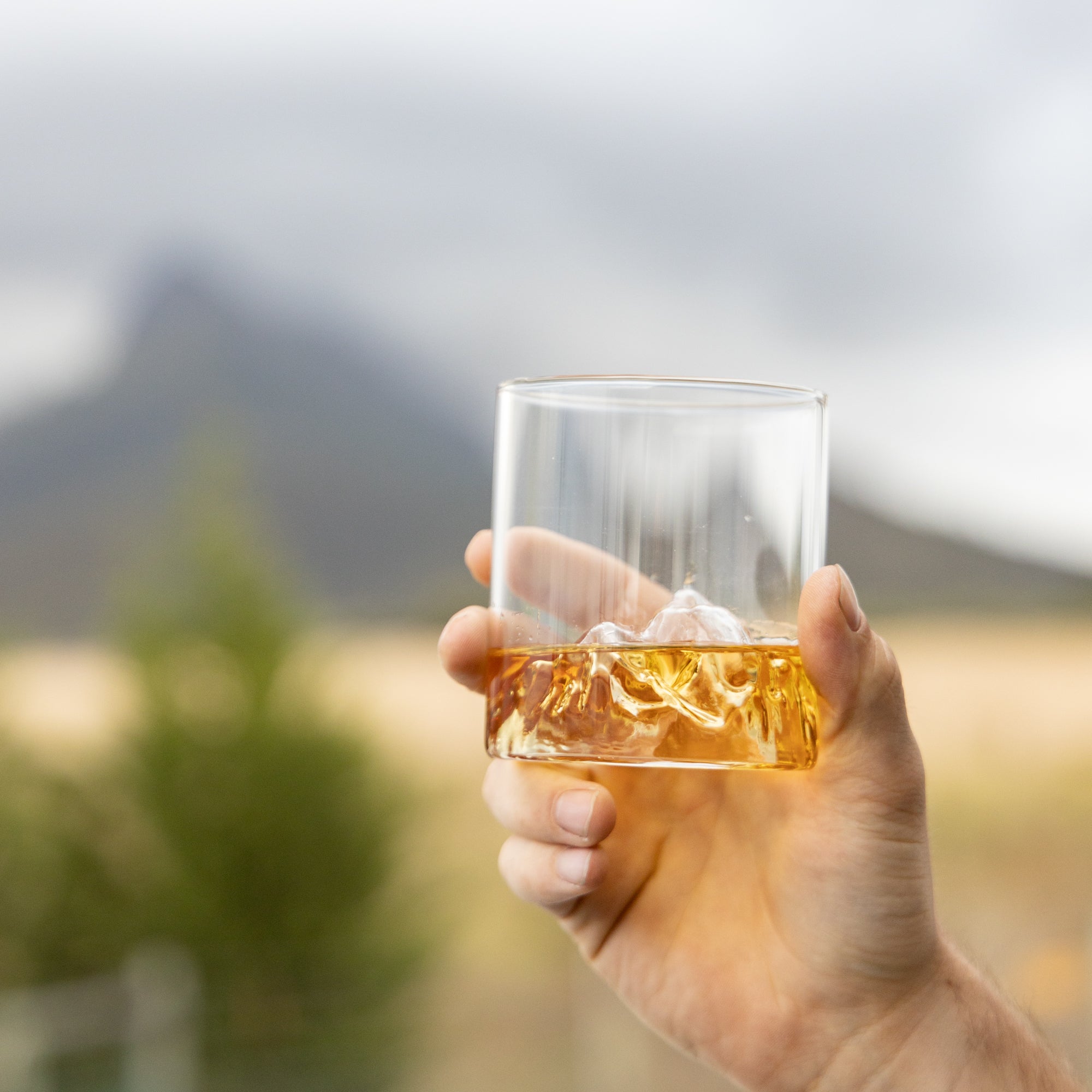 Nordic Mountain Whisky Tumbler