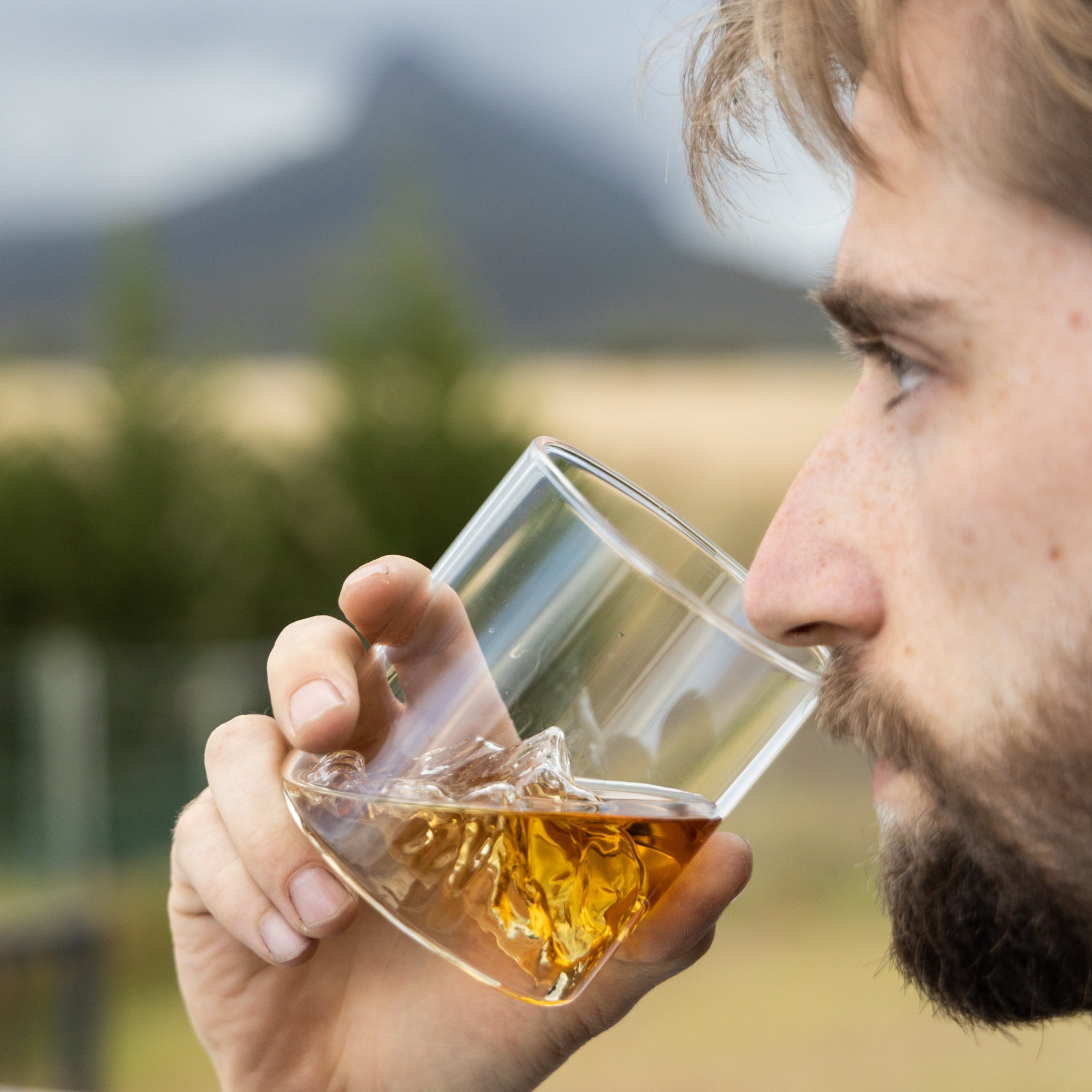 Nordic Mountain Whisky Tumbler