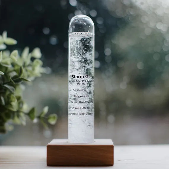 Kikkerland Mini Storm Glass Barometer