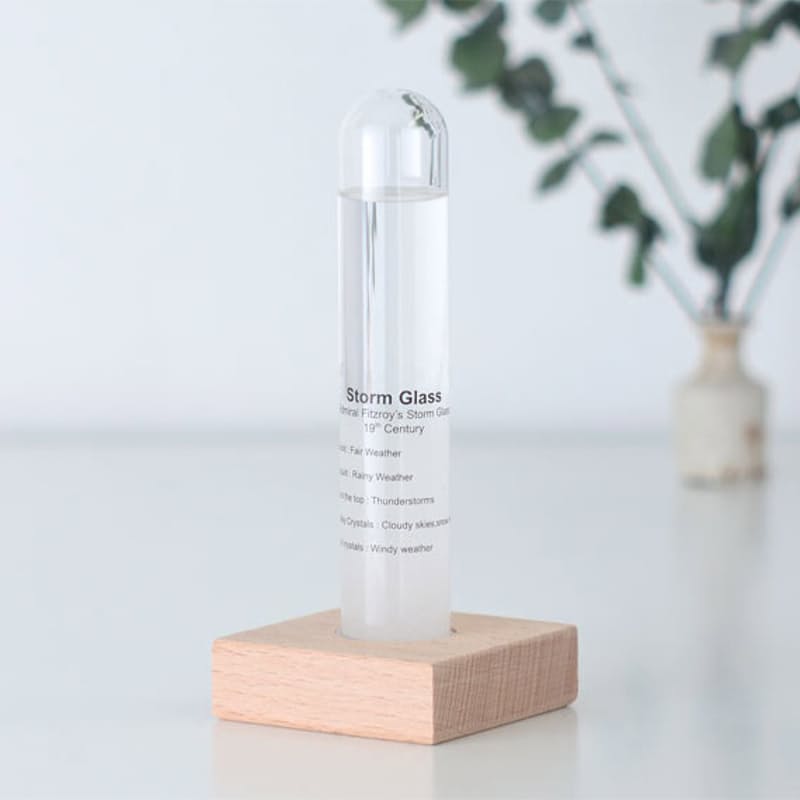 Kikkerland Mini Storm Glass Barometer